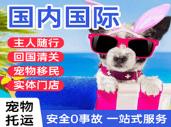 遵义茅台国际宠物托运 【国